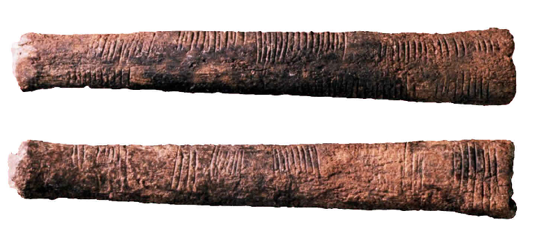 O osso de Ishango, encontrado na atual região do Congo, possui três faces, com riscos em cada uma delas, representando sequências numéricas.